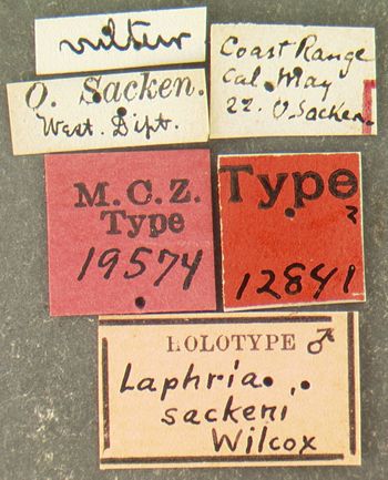 Media type: image;   Entomology 19574 Aspect: labels